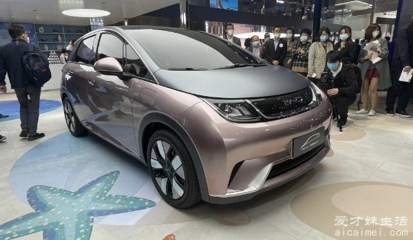 比亚迪最新电动汽车2022_比亚迪电动汽车销量_仿比亚迪f0电动汽车图片