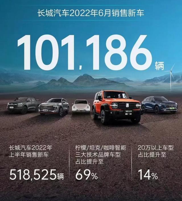 中国汽车品牌销量排行榜（国产品牌“七巨头”上半年销量）(17)