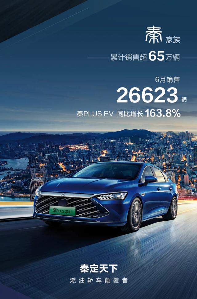 中国汽车品牌销量排行榜（国产品牌“七巨头”上半年销量）(5)