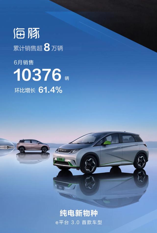 中国汽车品牌销量排行榜（国产品牌“七巨头”上半年销量）(7)
